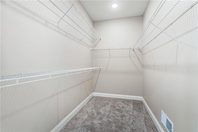 spacious closet with carpet flooring