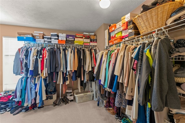 spacious closet with carpet floors