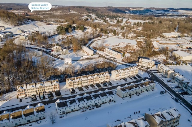 view of snowy aerial view