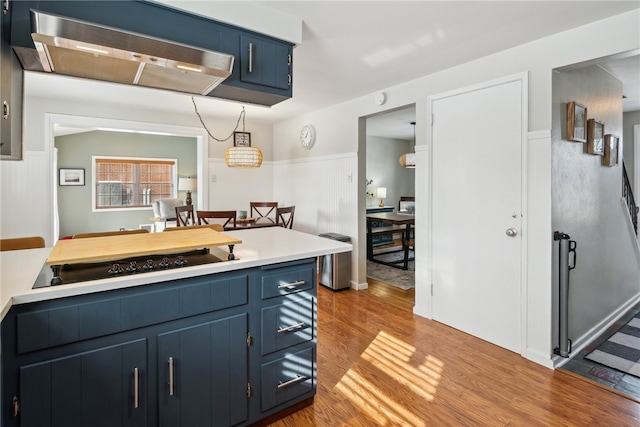 kitchen featuring wood-type flooring, black electric cooktop, and blue cabinetry