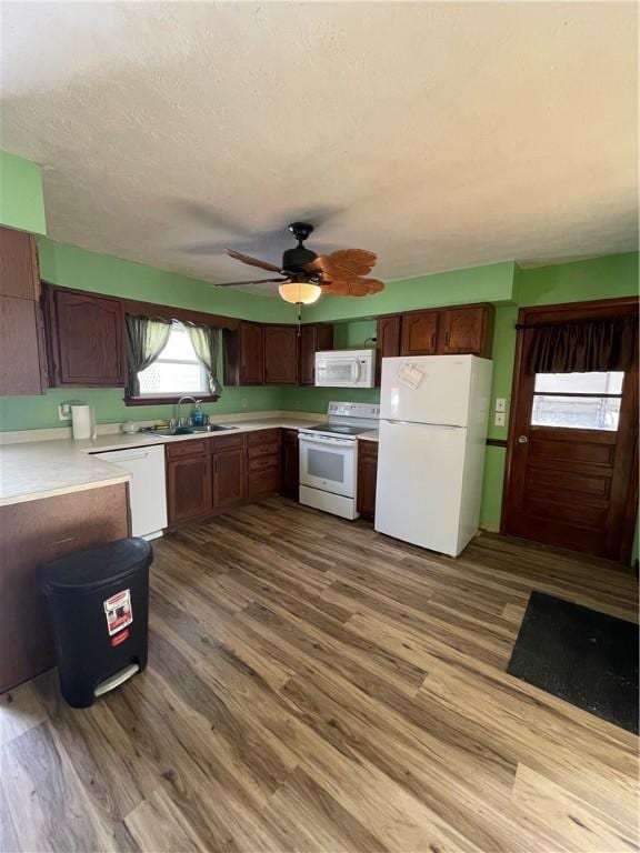 kitchen with white appliances, light hardwood / wood-style floors, sink, dark brown cabinetry, and ceiling fan