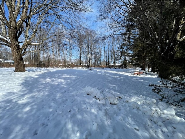 view of snowy yard