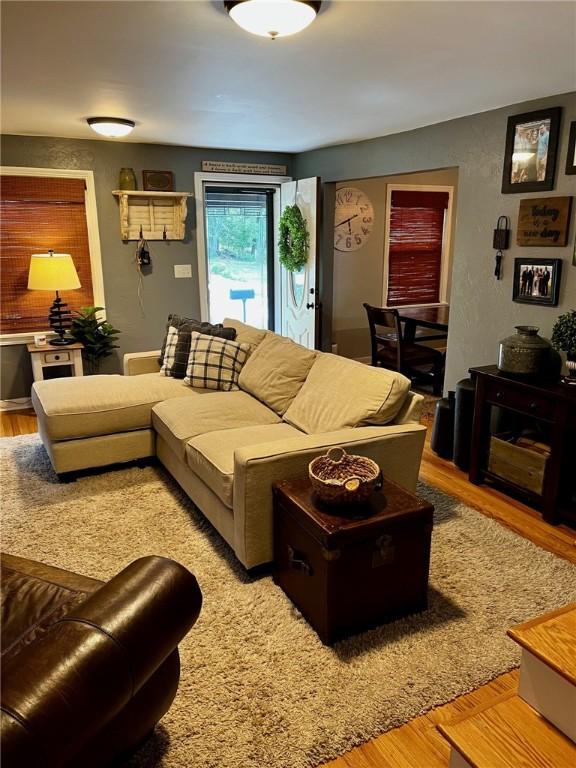 living room featuring hardwood / wood-style flooring