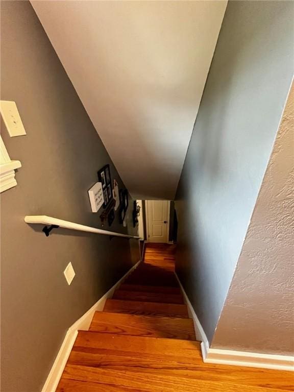 staircase with hardwood / wood-style floors