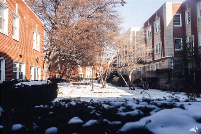 view of snowy yard