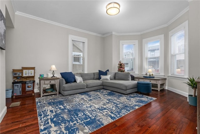 living room with crown molding and dark wood-type flooring