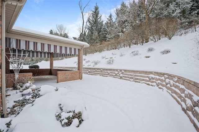 view of snowy yard