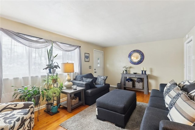 living room featuring hardwood / wood-style floors