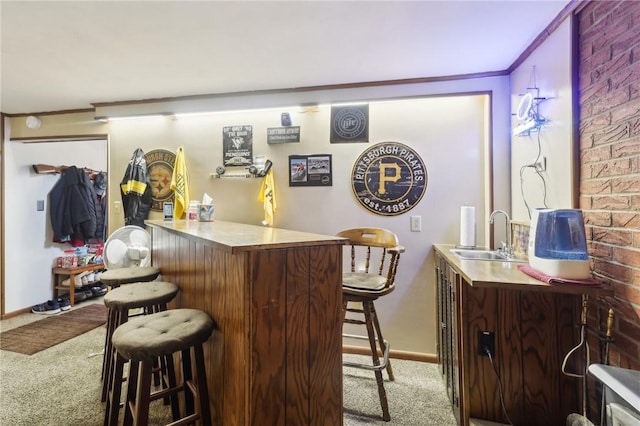 bar with sink, ornamental molding, and carpet flooring