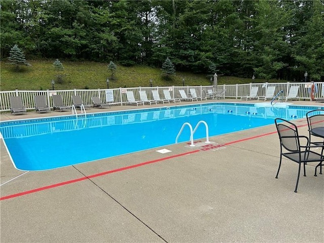 view of swimming pool with a patio