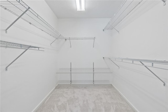 walk in closet featuring light carpet