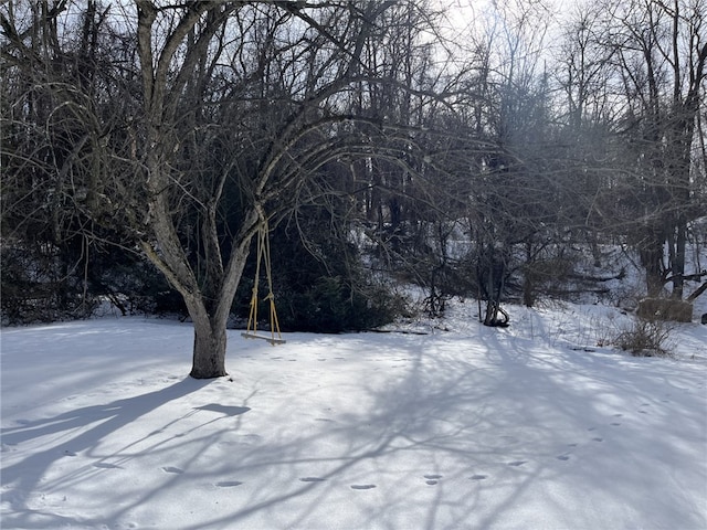 view of yard layered in snow