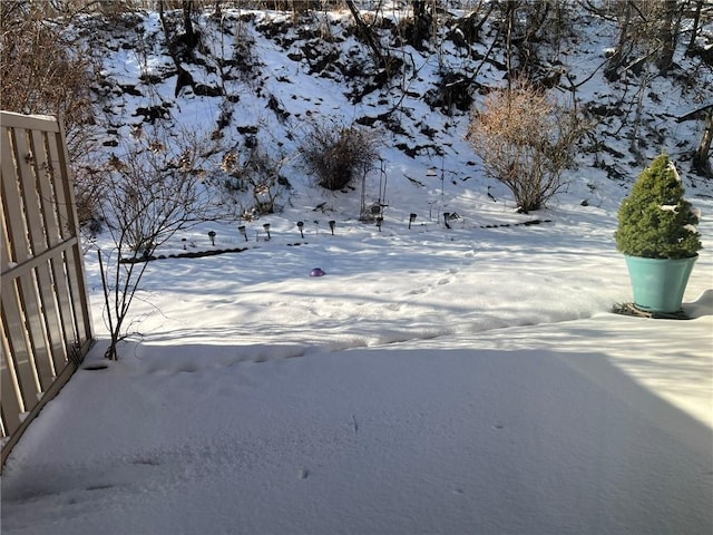 view of yard layered in snow