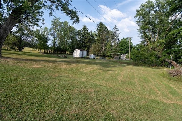 view of yard featuring a storage unit