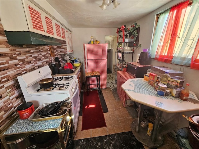 300 Winston St, Hazelwood, PA 15207 - kitchen with sink, extractor fan, and white gas range oven