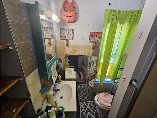 300 Winston St, Hazelwood, PA 15207 - bathroom featuring toilet and vanity
