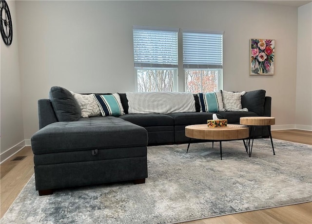 living room featuring wood-type flooring