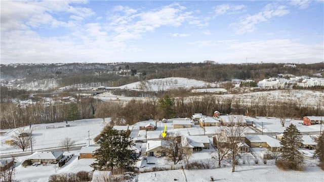 view of snowy aerial view