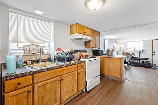 kitchen featuring white range with electric cooktop, sink, and dark hardwood / wood-style flooring