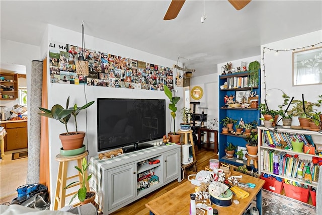 living room featuring ceiling fan and light hardwood / wood-style flooring