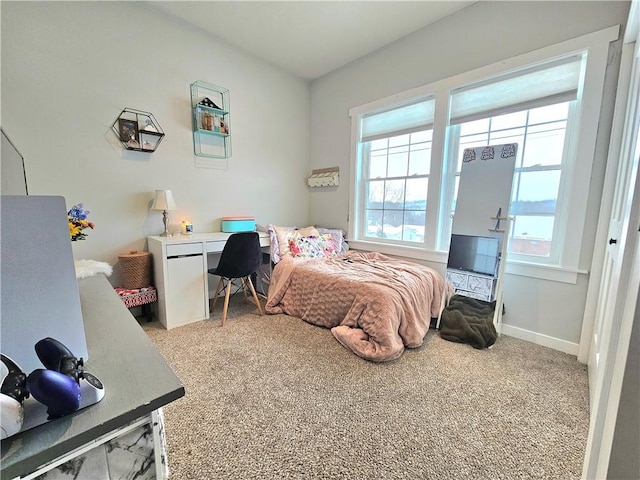 bedroom with carpet