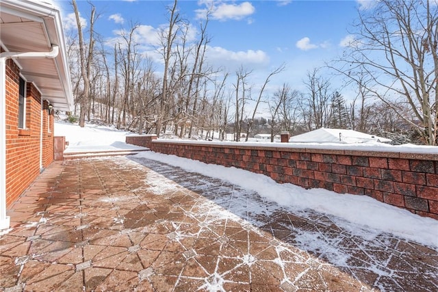 view of yard covered in snow