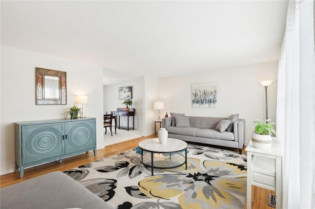 living room with wood-type flooring