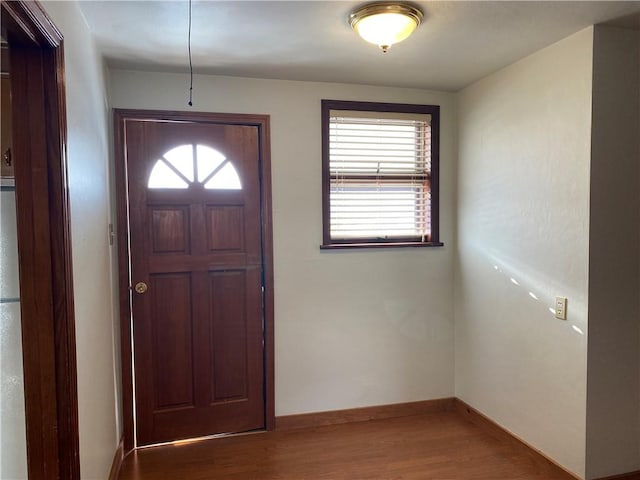 foyer entrance featuring hardwood / wood-style flooring