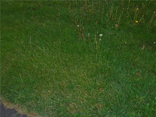 exterior space