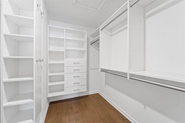 walk in closet with dark hardwood / wood-style floors