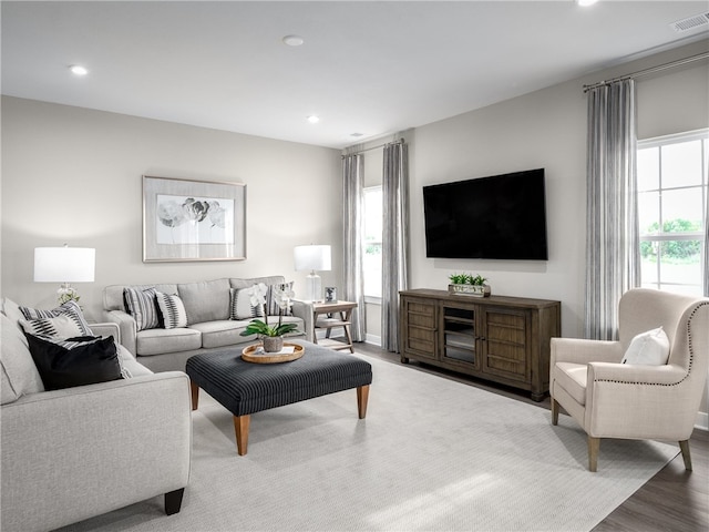 living room featuring wood-type flooring