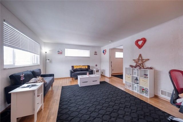 living room featuring light hardwood / wood-style flooring and a wealth of natural light