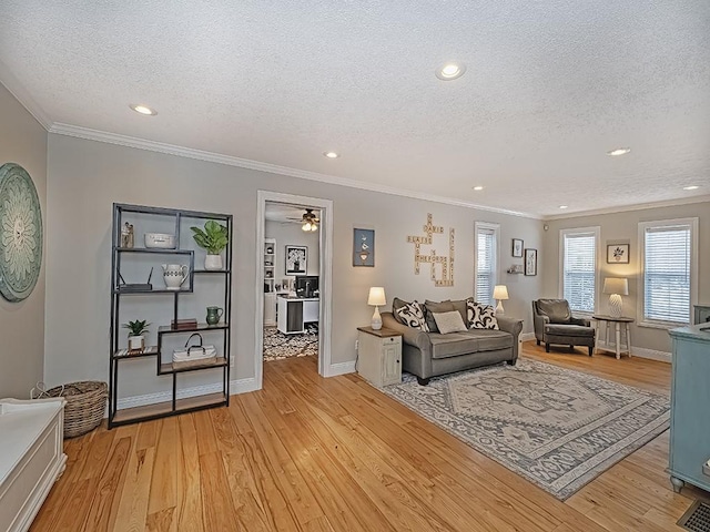 living room with crown molding, light hardwood / wood-style floors, and a textured ceiling