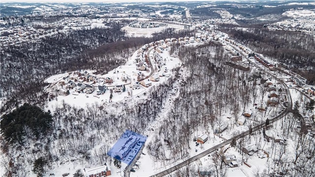 view of snowy aerial view