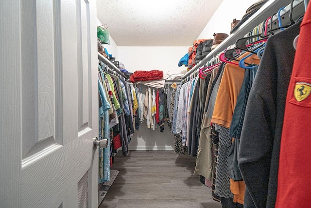 spacious closet with wood-type flooring