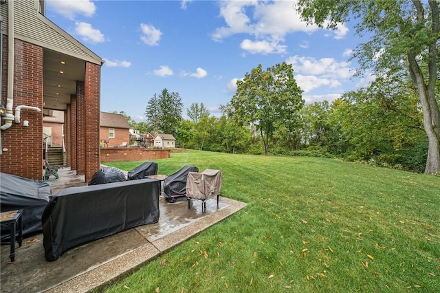 view of yard featuring a patio area