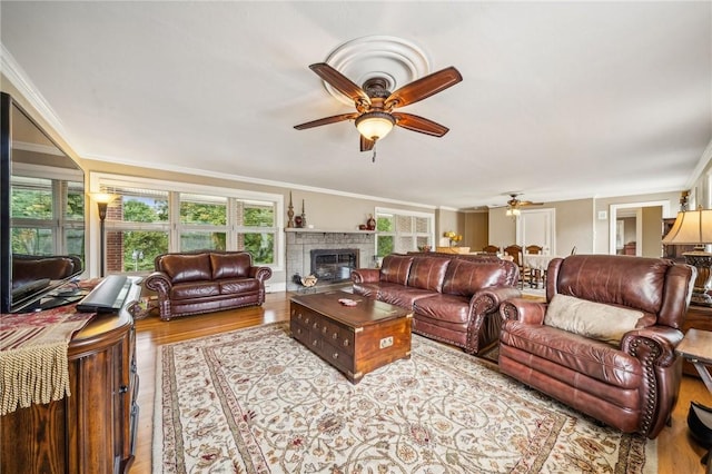 living room featuring ceiling fan, light hardwood / wood-style flooring, and crown molding