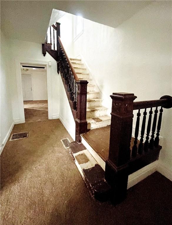 staircase featuring carpet