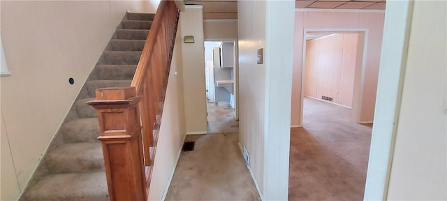 stairs with wooden walls and carpet floors