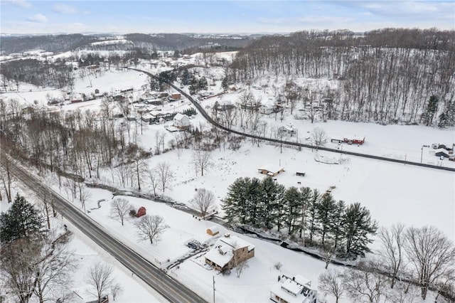 view of snowy aerial view