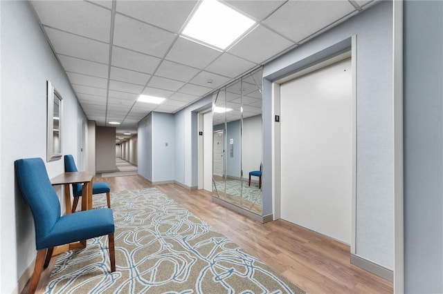 hallway with light hardwood / wood-style floors and a drop ceiling