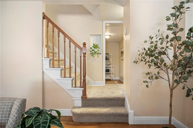 staircase featuring wood-type flooring