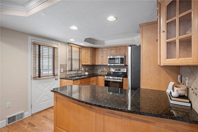 kitchen featuring kitchen peninsula, dark stone counters, a tray ceiling, and stainless steel appliances