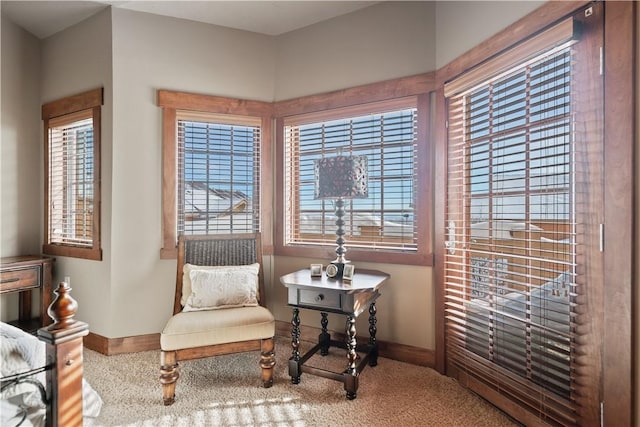 living area featuring carpet flooring and a wealth of natural light