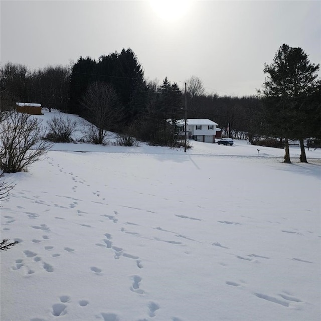 view of yard layered in snow