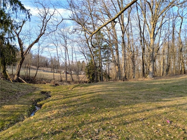 409 Himler Rd, Hempfield Twp Wml, PA 15601 - view of grassy yard
