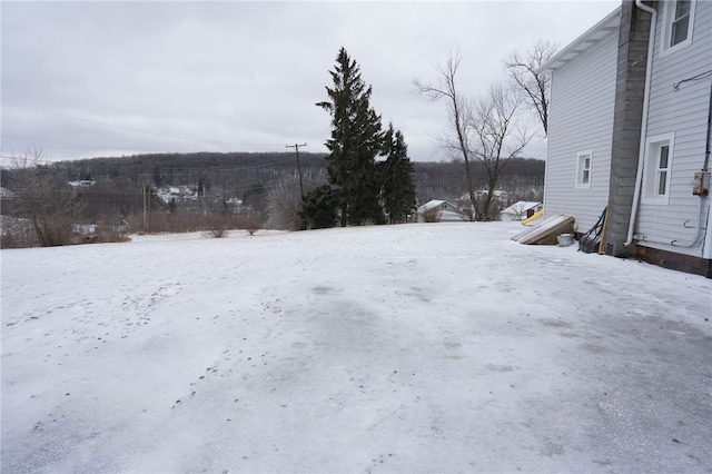 view of yard covered in snow