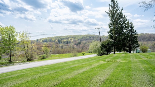 23 1st St, Pine Twp/Heilwood, PA 15710 - photo 20