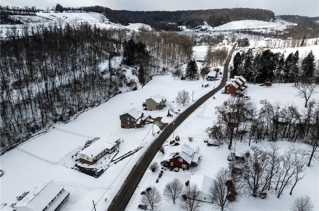 view of snowy aerial view