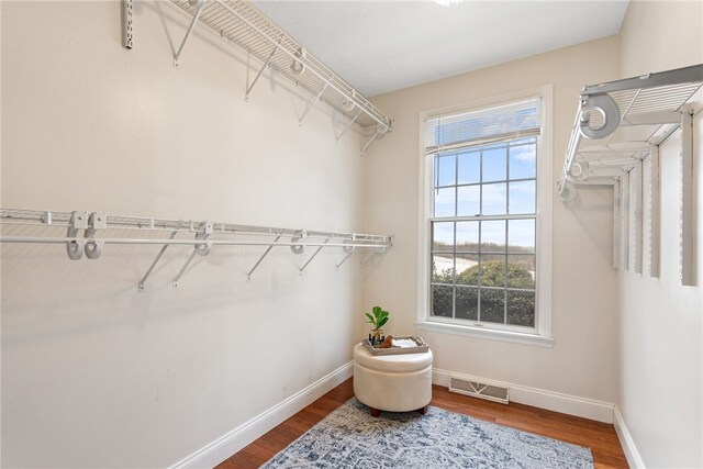 spacious closet with wood-type flooring